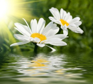 solcenter kolding thai massage køge landevej solcenter kolding thai massage køge landevej