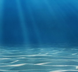 Undervandsfoto med solstråler_slider